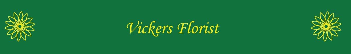 background logo