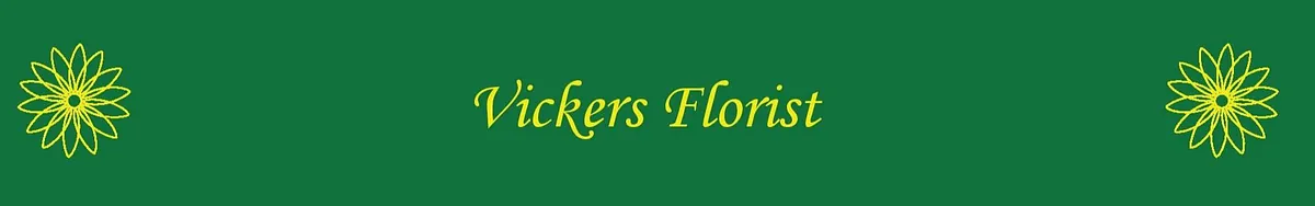 background logo